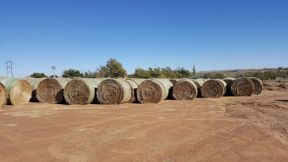 Round Hay Bales