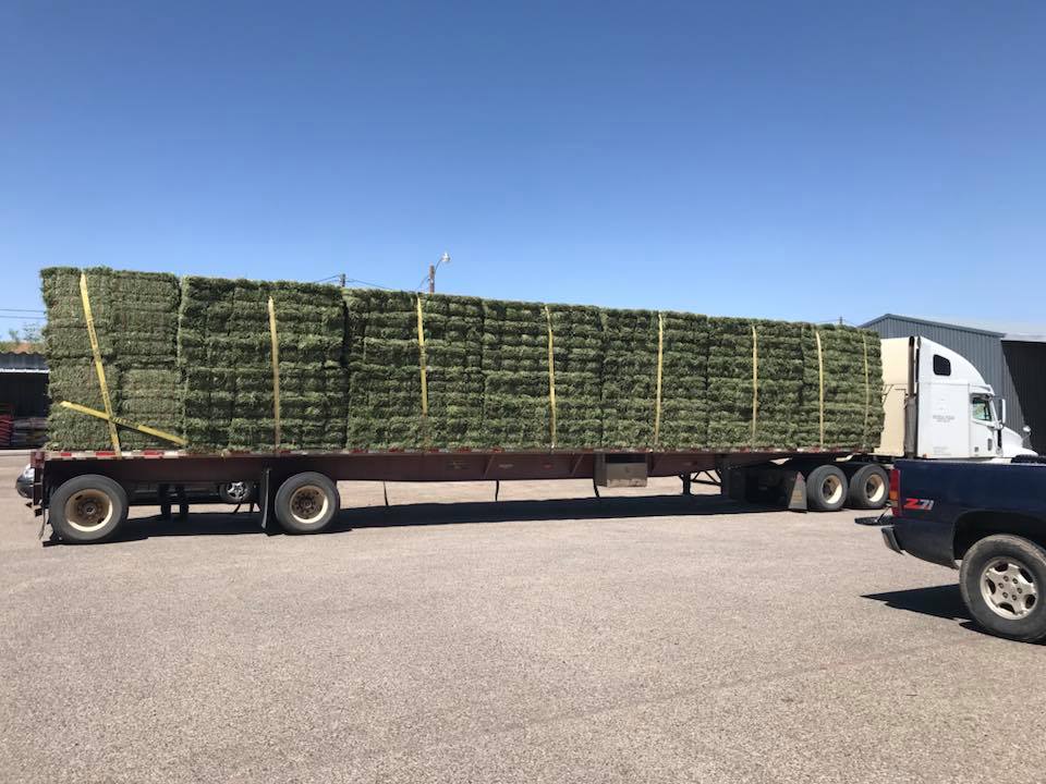 Alfalfa Hay Bales