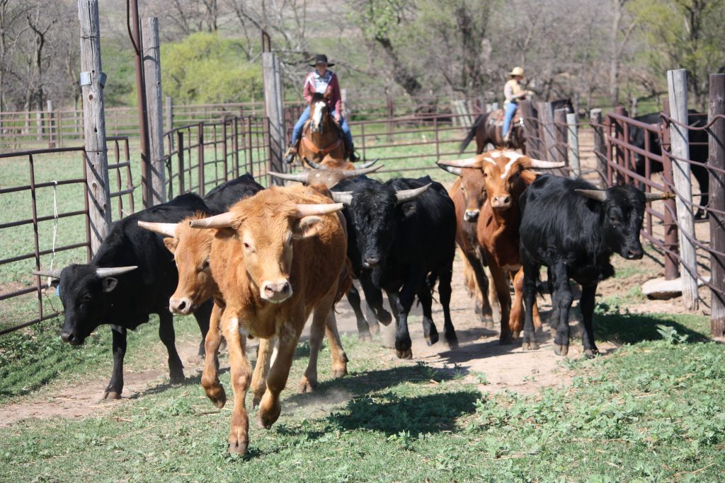 Cattle Feed Ranchers Supply Amarillo Texas