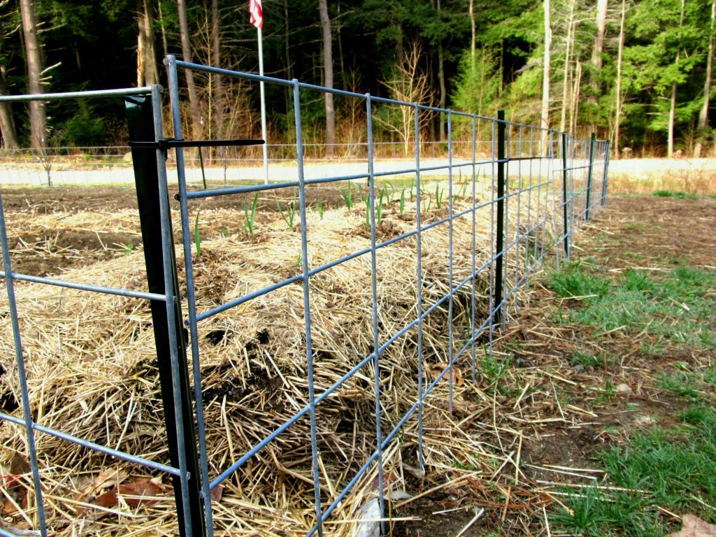 Fencing & Livestock Supplies Ranchers Supply Amarillo Texas