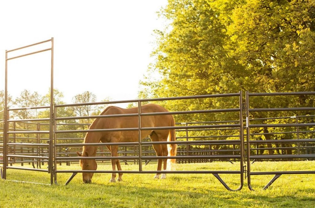 Fencing & Livestock Supplies Ranchers Supply Amarillo Texas
