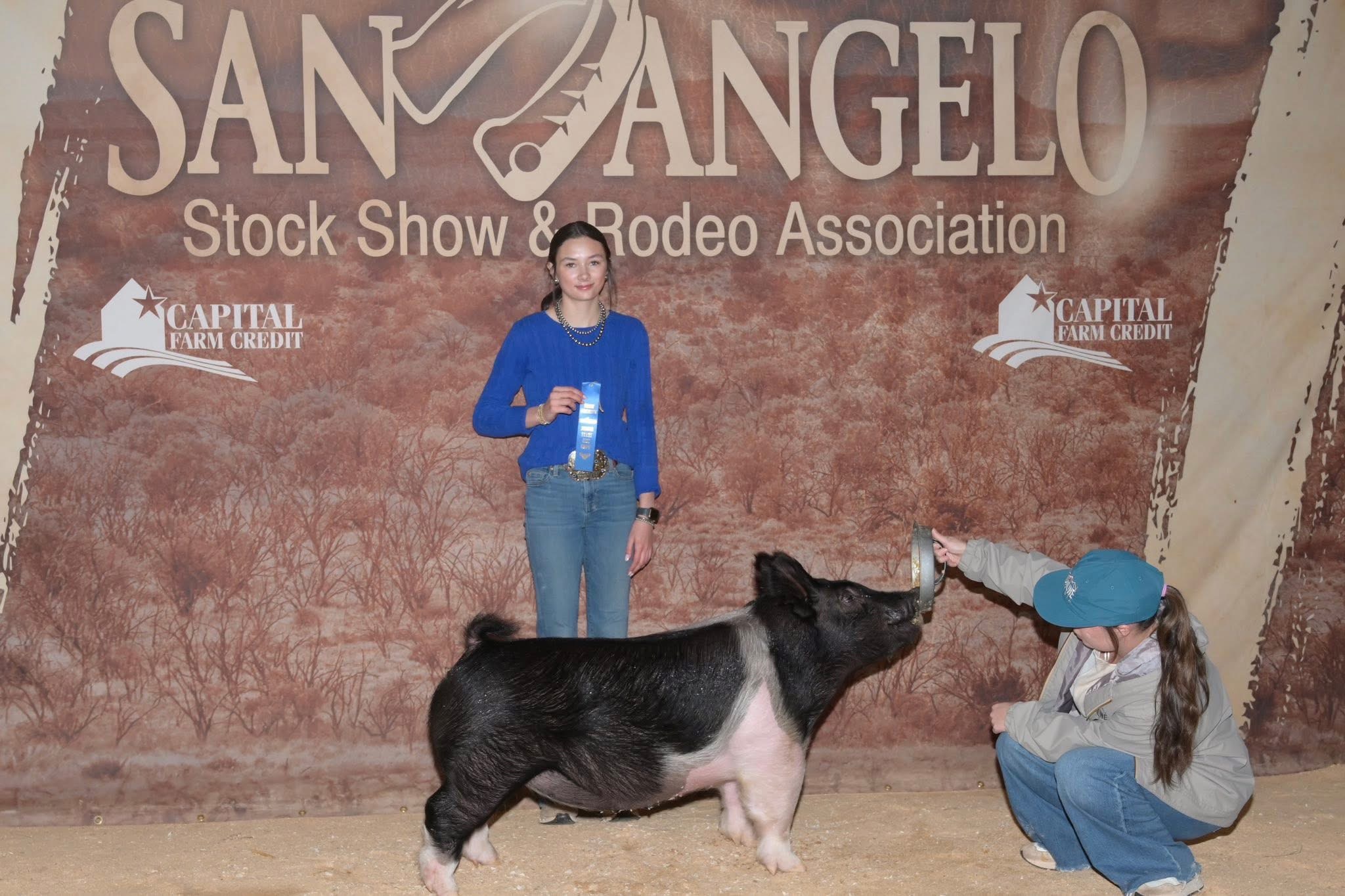 Feed and Supplies for Show Pigs