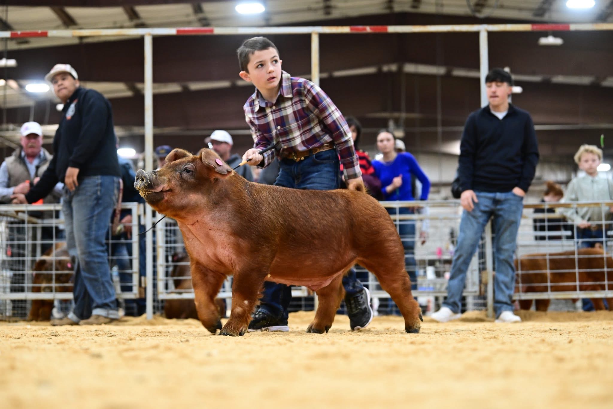 John Harshbarger owner at Ranchers Supply