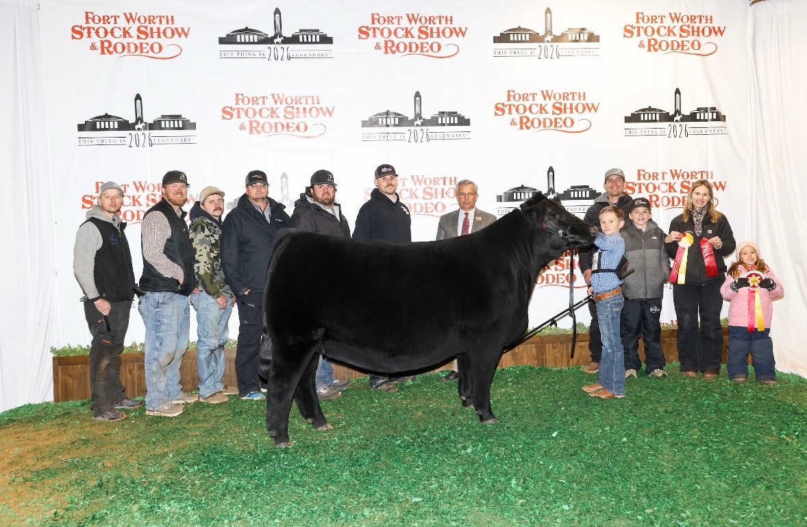 Feed for show animals